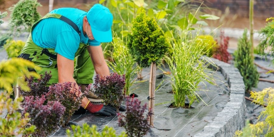 Bahçe ve Peyzaj Hizmeti